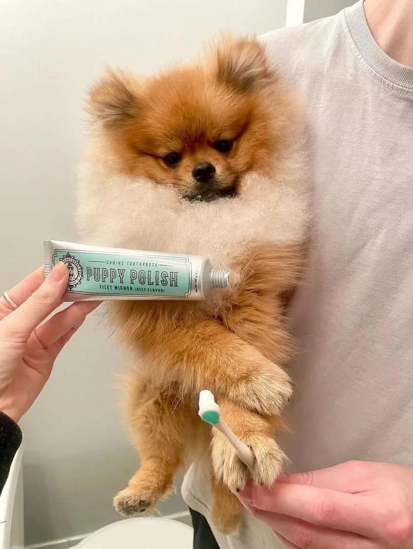 Puppy Polish Toothpaste - Fluffy Collective