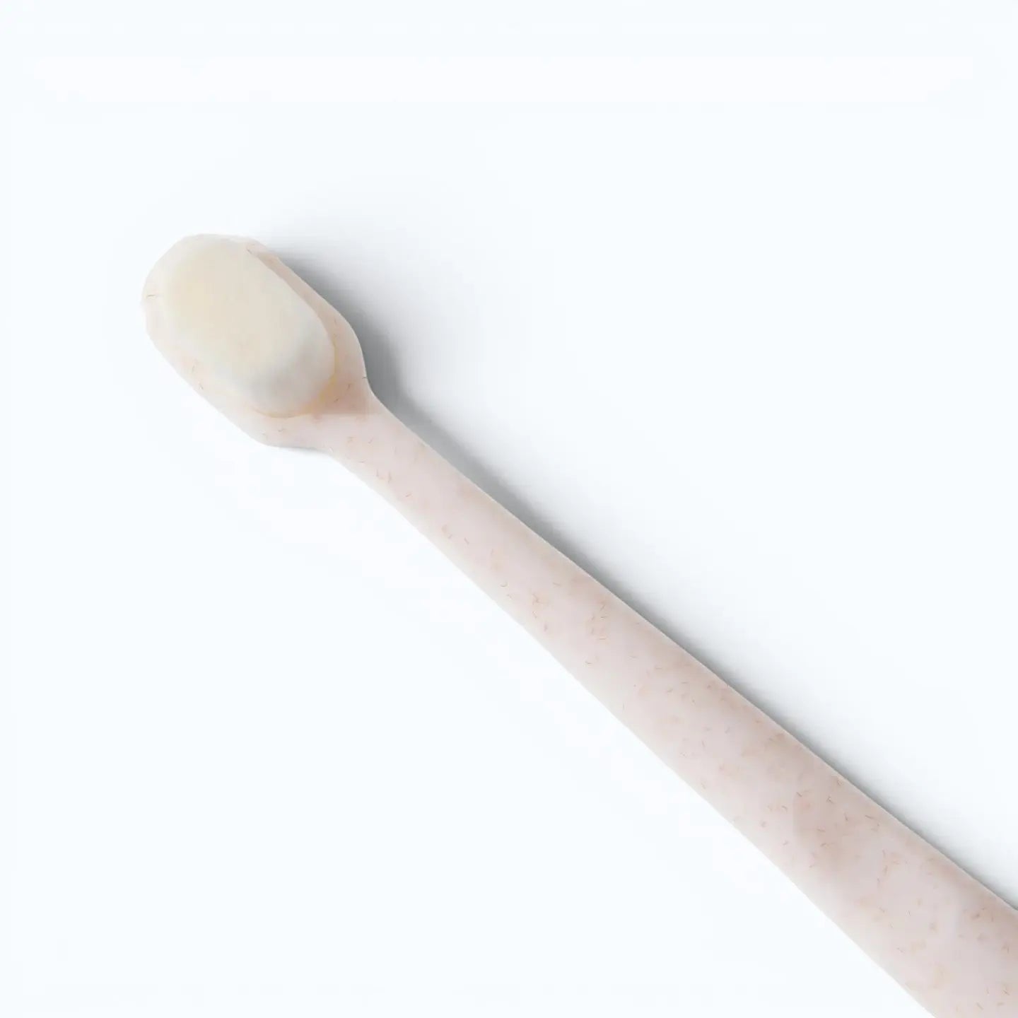 Wag & Bright Puppy Polisher Toothbrush S – bamboo toothbrush head close-up showing soft bristles, S size