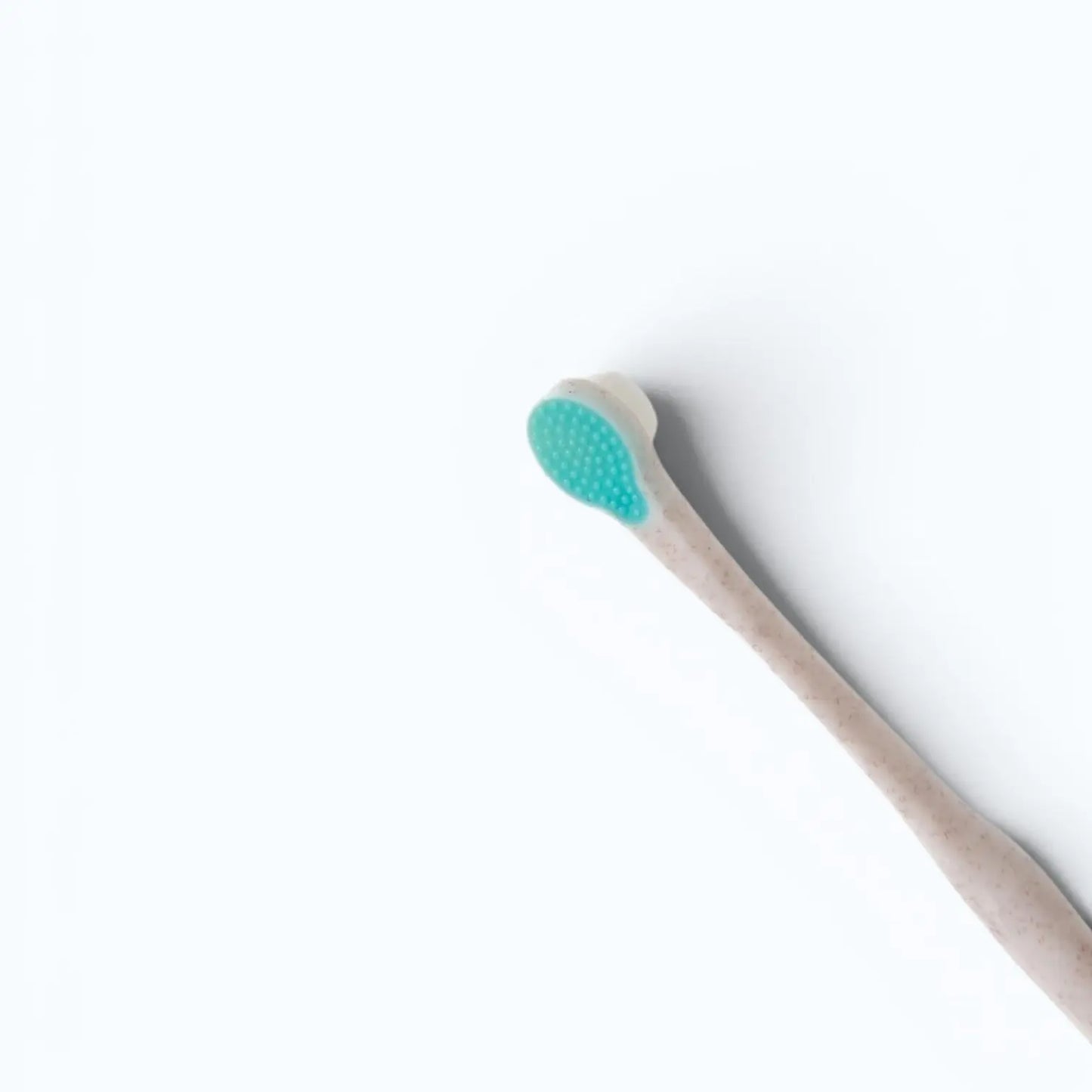 Wag & Bright Puppy Polisher Toothbrush – bamboo toothbrush size comparison, angled view