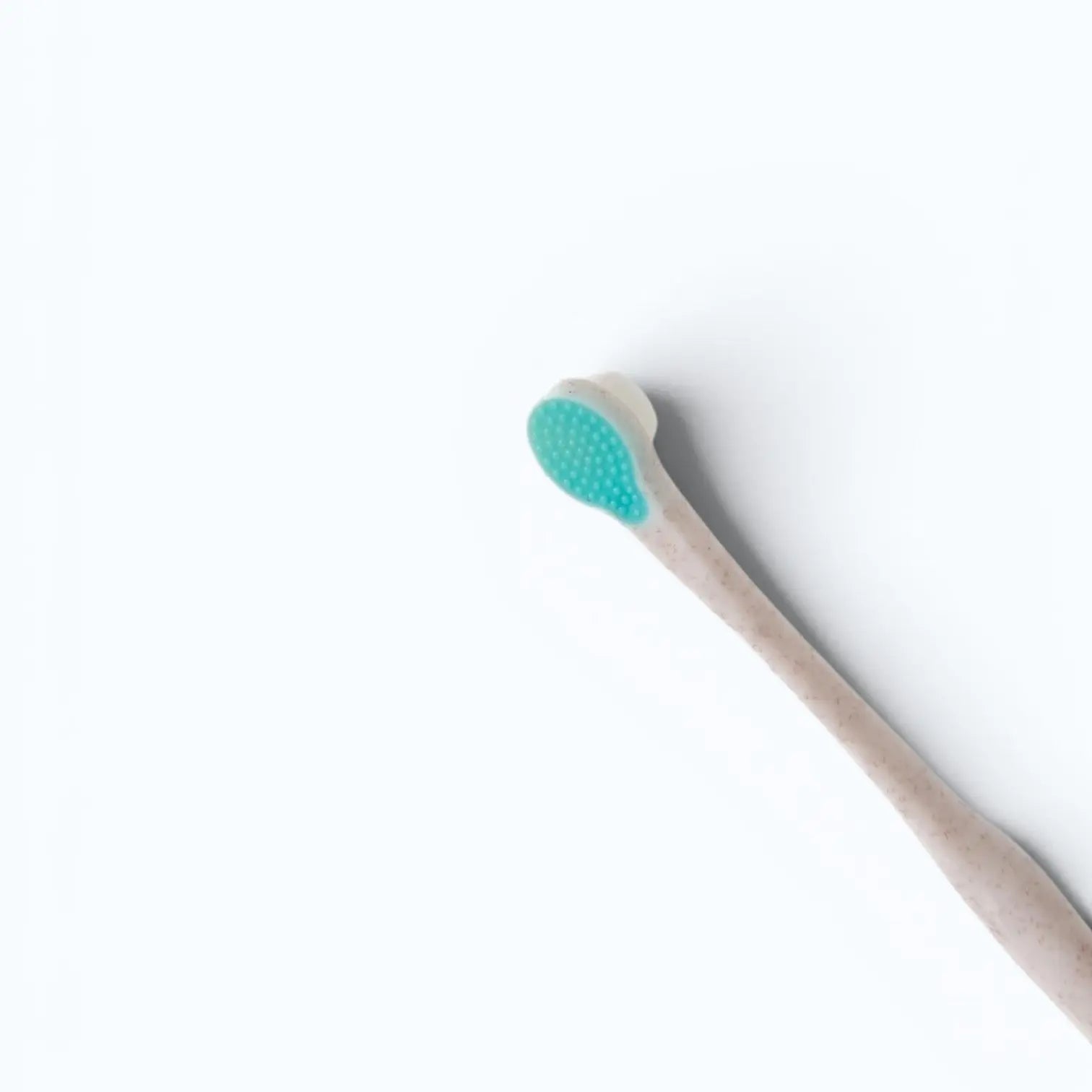 Wag & Bright Puppy Polisher Toothbrush – bamboo toothbrush size comparison, angled view
