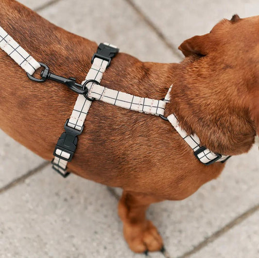 Recycled PET Harness Beige Line Juno - Fluffy Collective