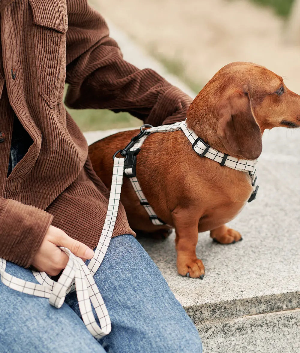 Recycled PET Harness Beige Line Juno - Fluffy Collective