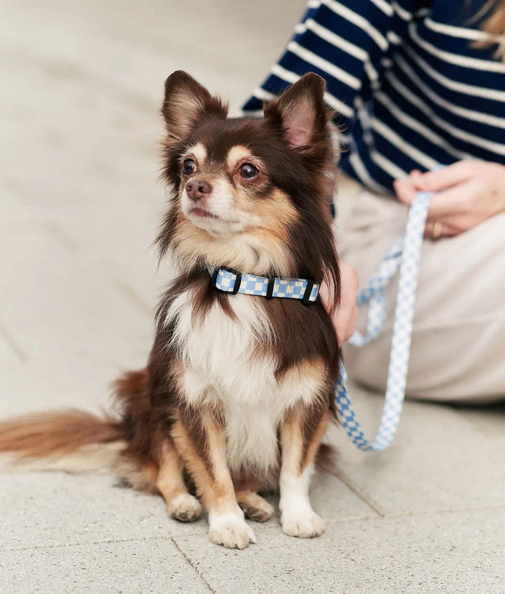 Recycled PET Necklace Blue Vichy - Fluffy Collective