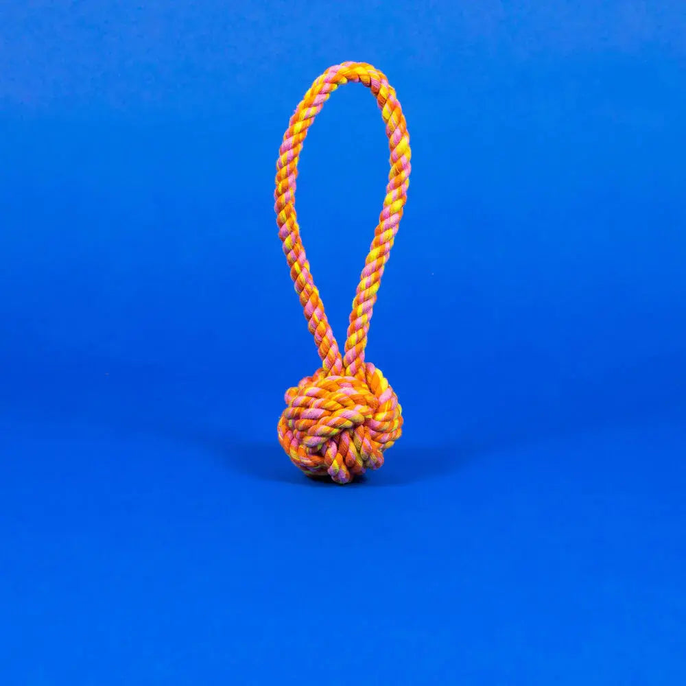 Rope Knot Toy WARE OF THE DOG