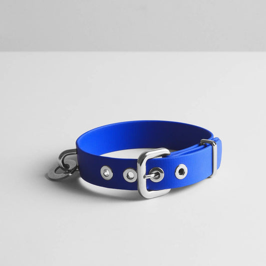 Royal Blue Dog Collar - Fluffy Collective