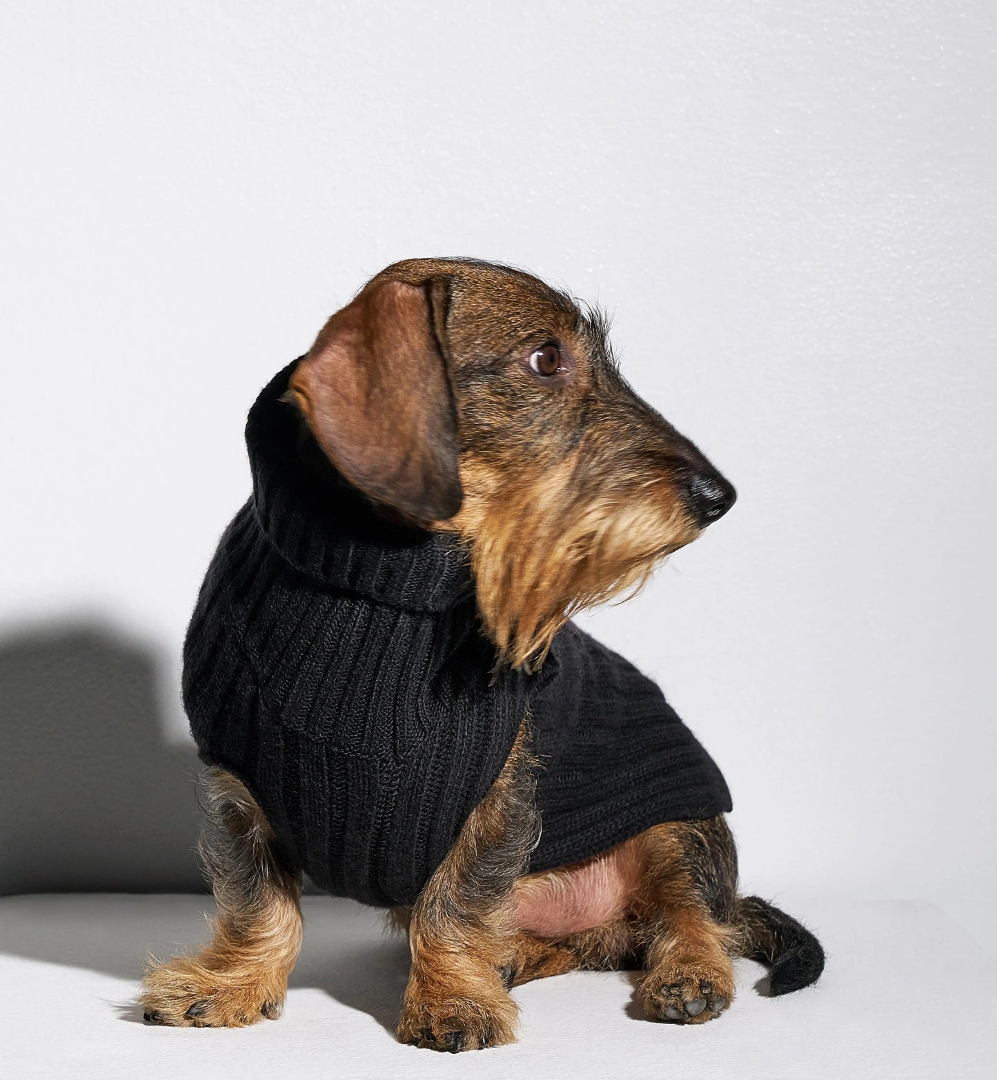 Rue Jacob Dachshund Jumper Black - Fluffy Collective