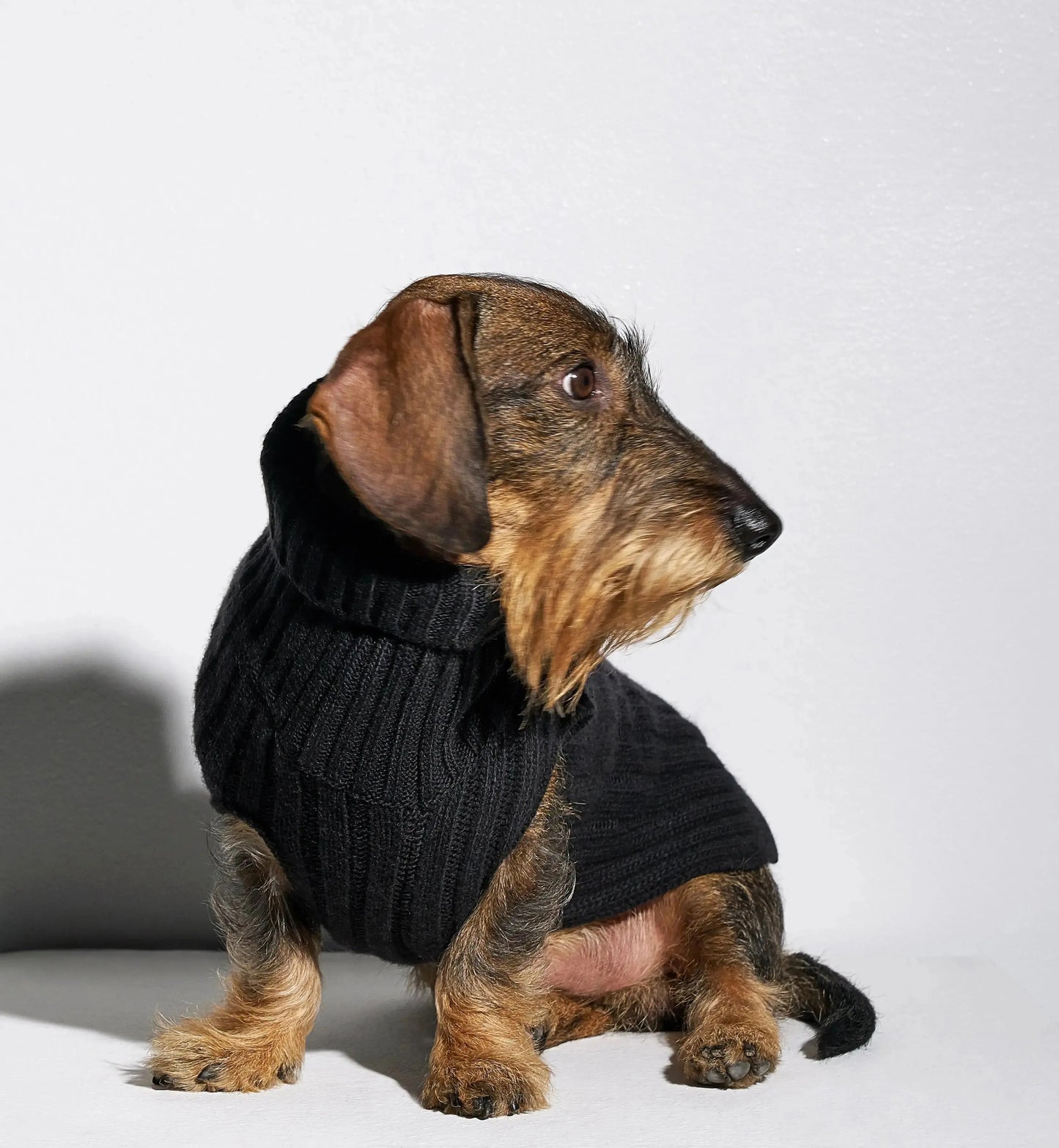 Rue Jacob Dachshund Jumper Dark Grey - Fluffy Collective