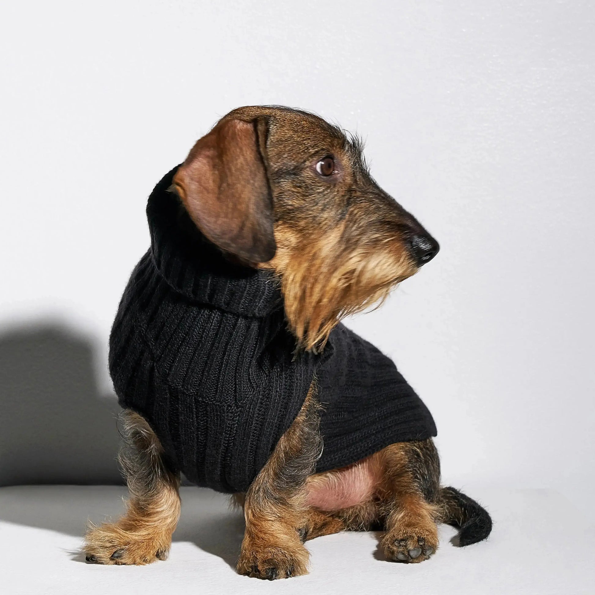 Rue Jacob Dachshund Jumper Dark Grey - Fluffy Collective