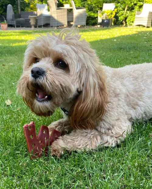 W’ZIS Smoky Dubya vegan dog chews