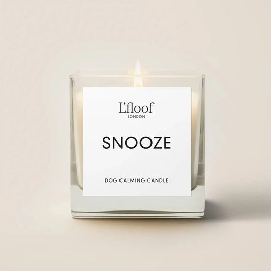 Snooze - Dog Calming Candle L'FLOOF