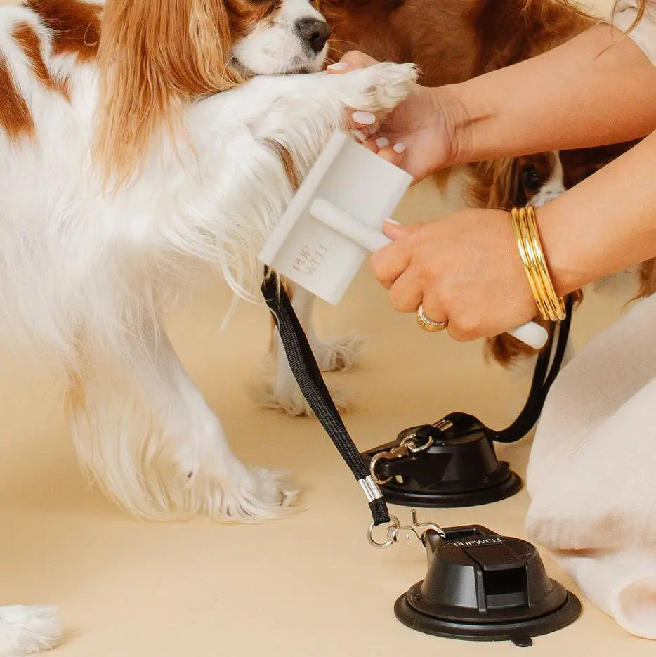 Pupwell Stay in Place Leash – grooming leash for dogs of all sizes, detail shot