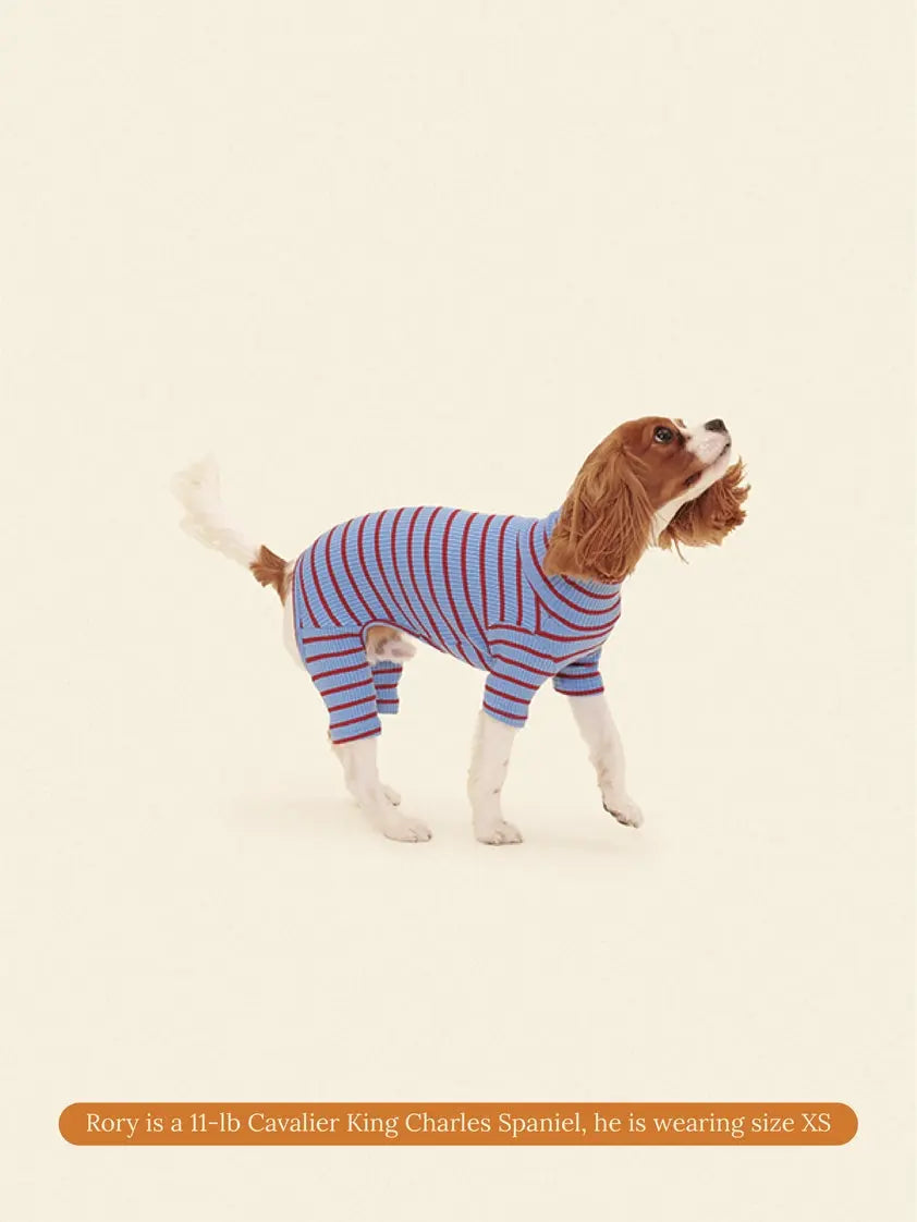 Student Loan Dog Onesie - Fluffy Collective