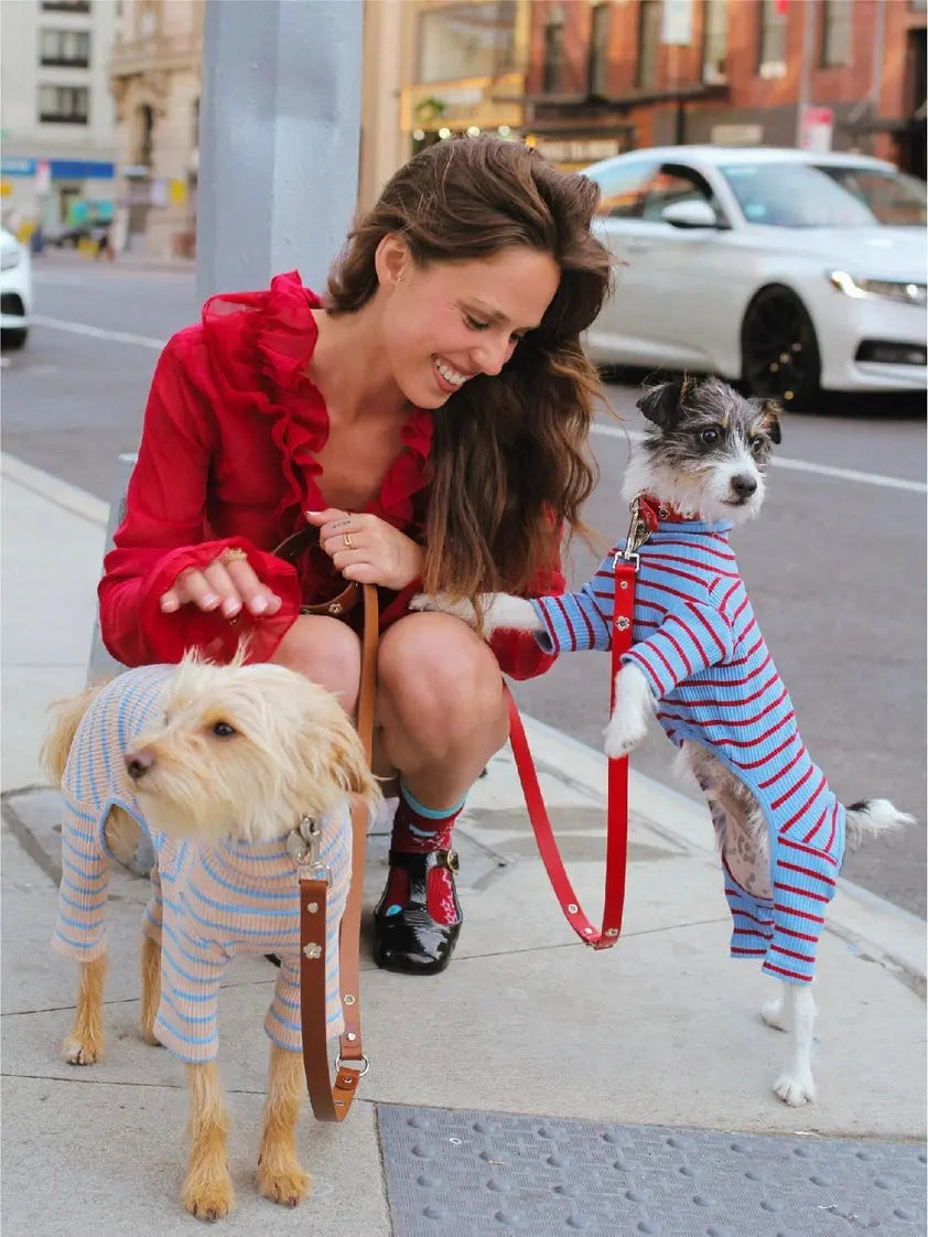 Student Loan Dog Onesie - Fluffy Collective