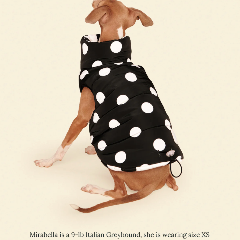 The Betty Puffer Jacket - Black & White - Fluffy Collective