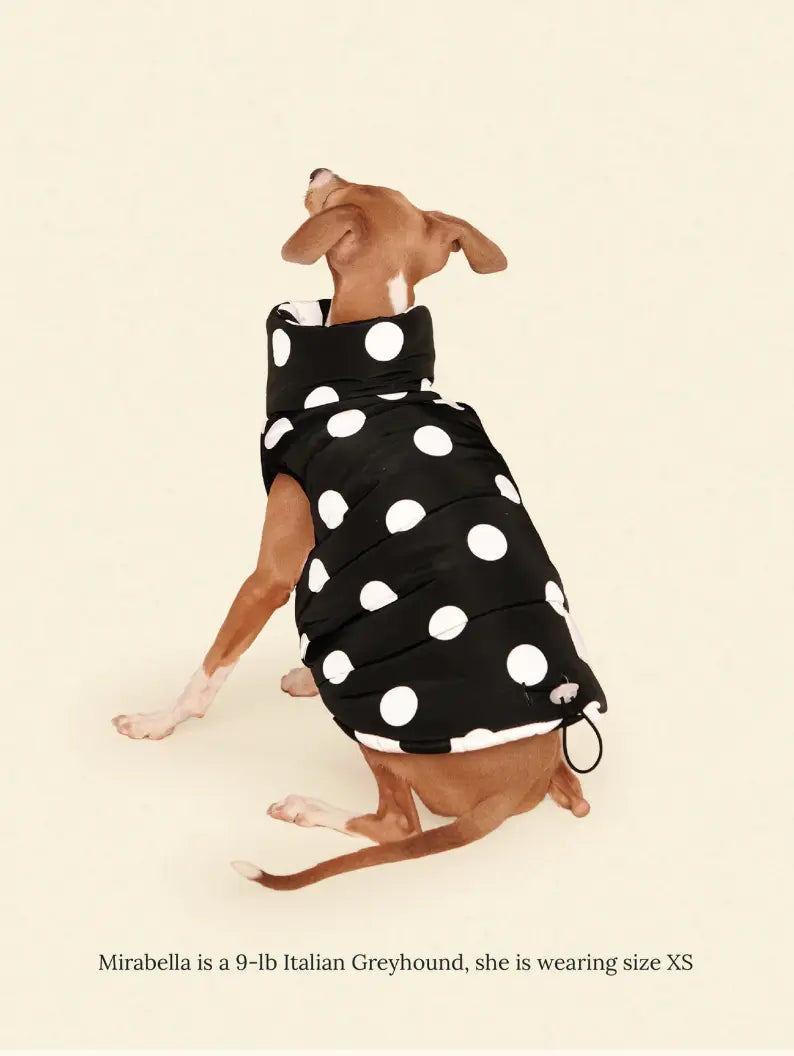 The Betty Puffer Jacket - Black & White - Fluffy Collective