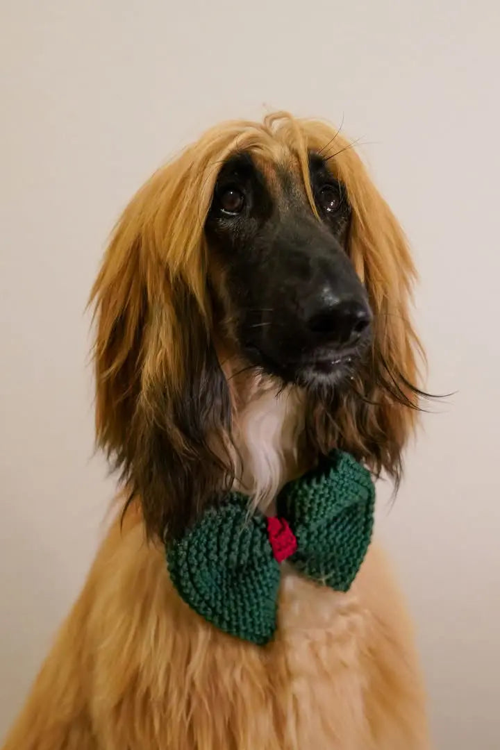 The Christmas Bow Tie - Fluffy Collective