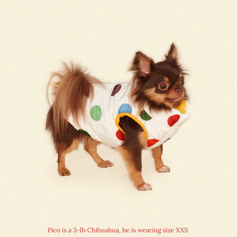 The Damien Puffer Jacket - Polka Dots & Yellow - Fluffy Collective