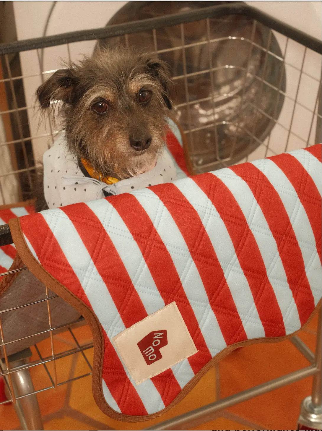 The Ellie Pad reusable washable dog seat cover by NomoHaus with red and white striped design and dog sitting on top