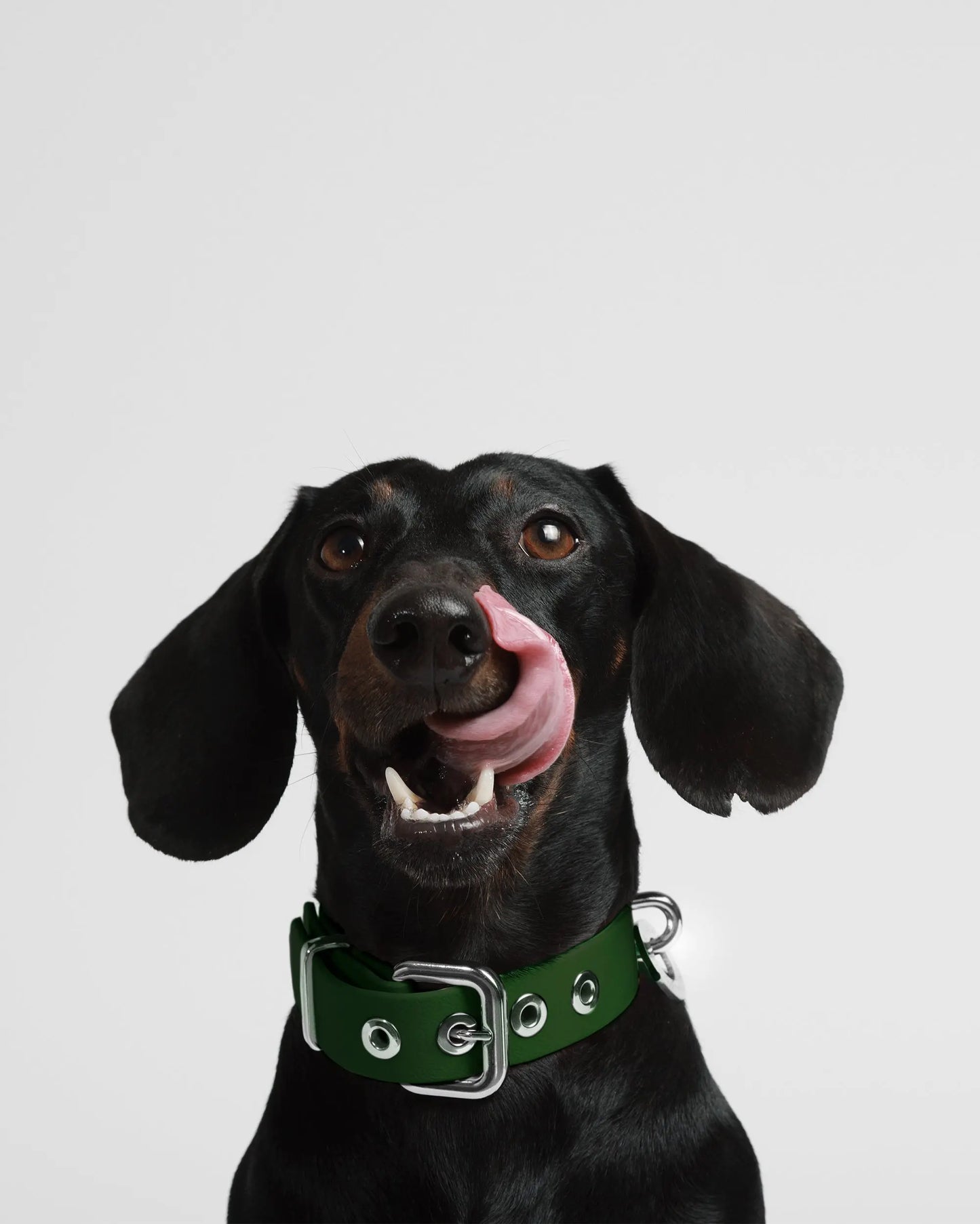 Watergreen Dog Collar - Fluffy Collective