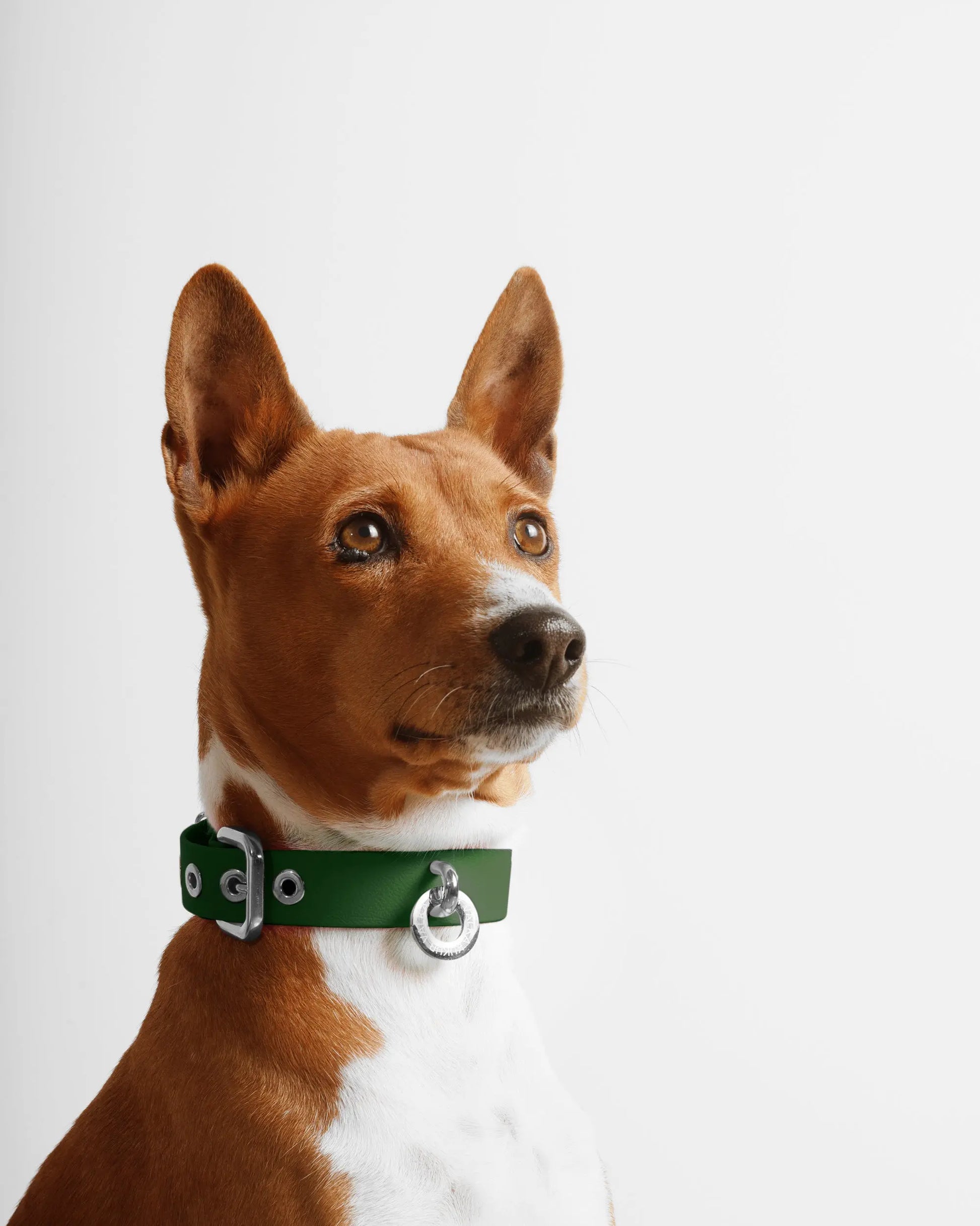 Watergreen Dog Collar - Fluffy Collective