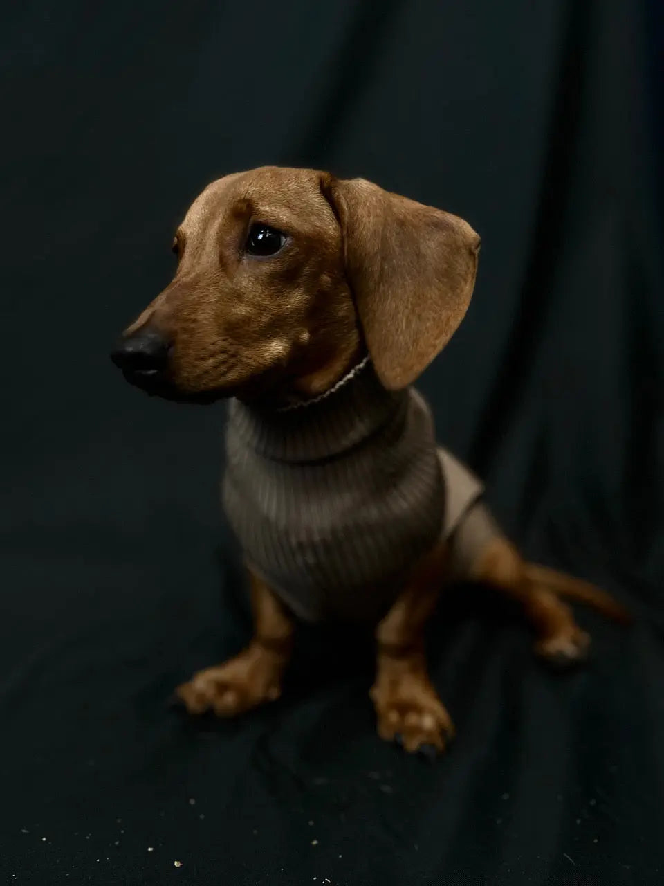 Dog Sweater OMNIAGIOIA